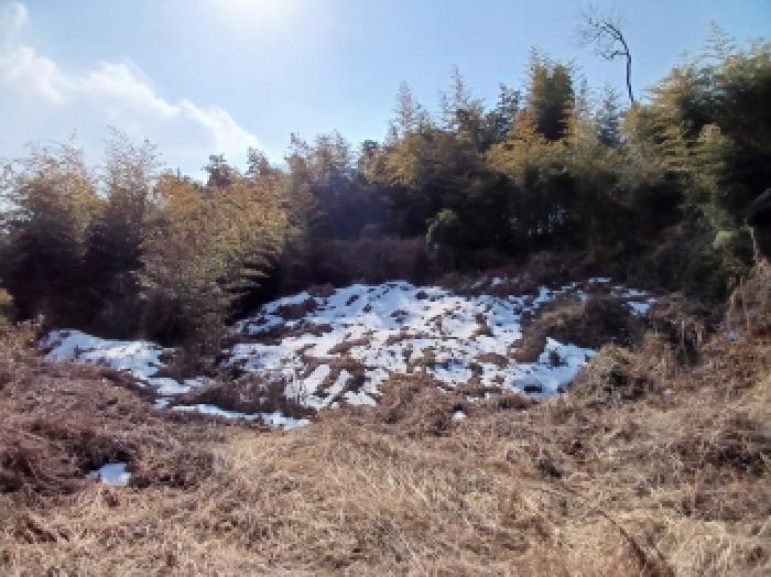 충남 당진시 석문면 전 경매 물건 사진 3 · 2025타경50648