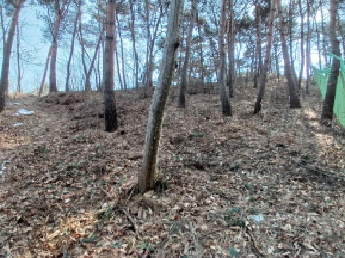 충남 당진시 석문면 전 경매 물건 사진 4 · 2025타경50648
