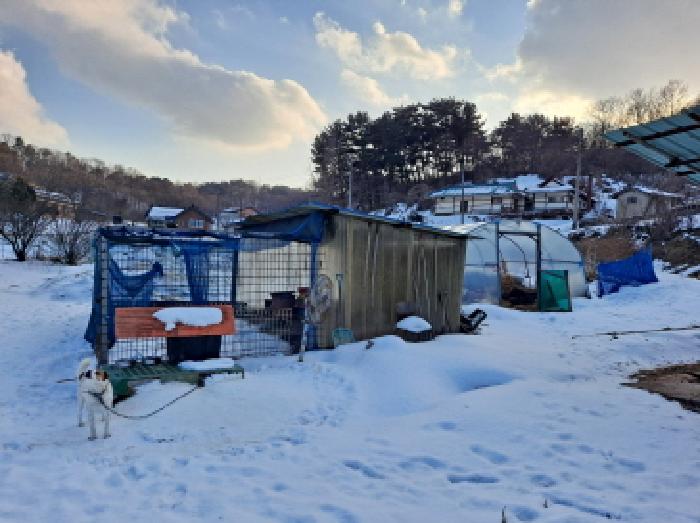 충남 당진시 채운동 전답 경매 물건 사진 4 · 2025타경50723