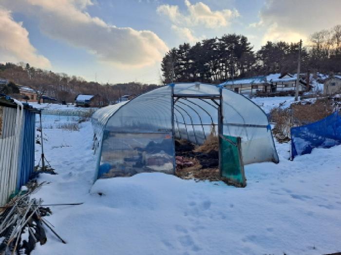 충남 당진시 채운동 전답 경매 물건 사진 6 · 2025타경50723