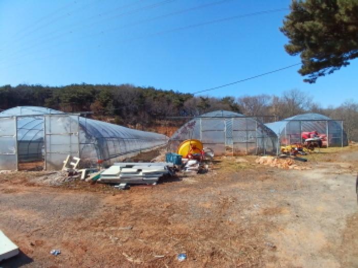 충남 당진시 석문면 임야 경매 물건 사진 2 · 2025타경50958