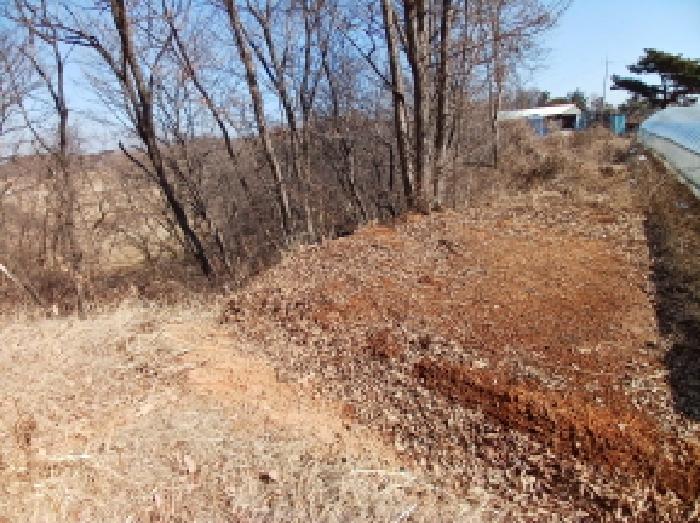 충남 당진시 석문면 임야 경매 물건 사진 5 · 2025타경50958