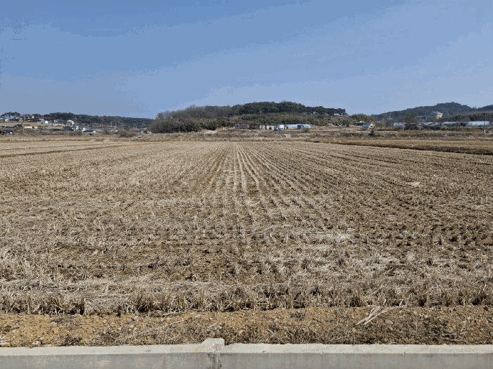 충남 당진시 석문면 답 경매 물건 사진 5 · 2025타경51013