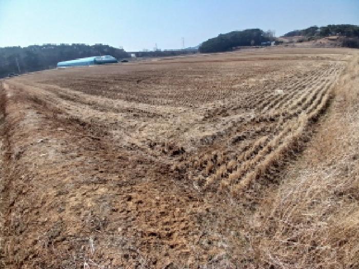 충남 당진시 석문면 답 경매 물건 사진 2 · 2025타경51013