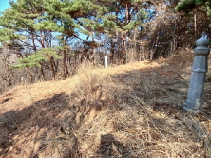 충남 당진시 고대면 임야 경매 물건 사진 3 · 2025타경51114