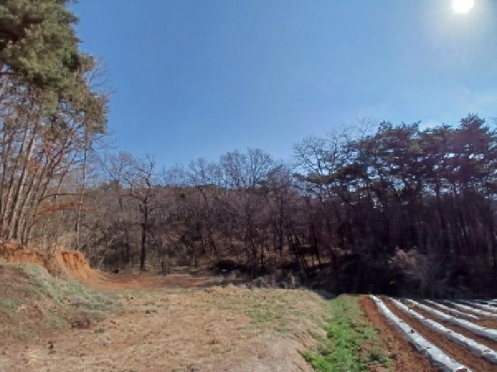 충남 당진시 고대면 임야 경매 물건 사진 4 · 2025타경51114