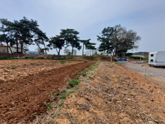 충남 당진시 신평면 잡종지 경매 물건 사진