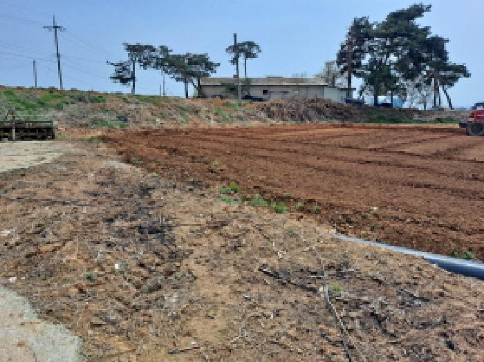 충남 당진시 신평면 잡종지 경매 물건 사진 3 · 2025타경51127