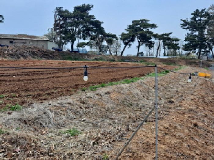 충남 당진시 신평면 잡종지 경매 물건 사진 5 · 2025타경51127