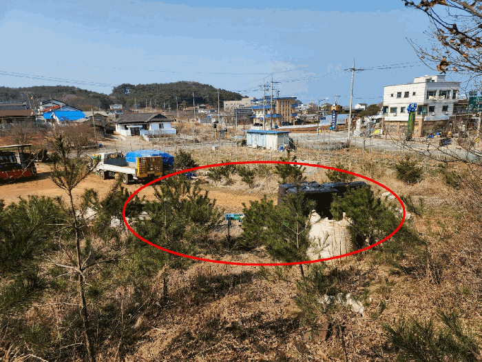 충남 당진시 석문면 임야 경매 물건 사진 5 · 2025타경51128