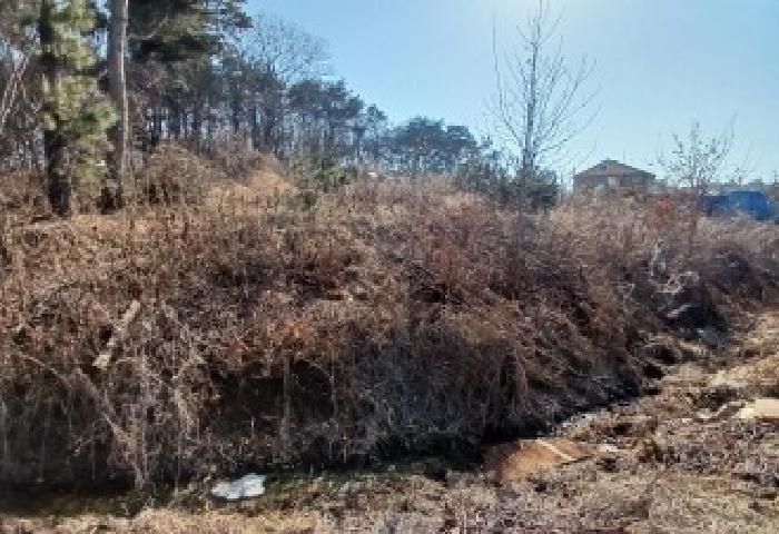 충남 당진시 석문면 임야 경매 물건 사진 2 · 2025타경51128