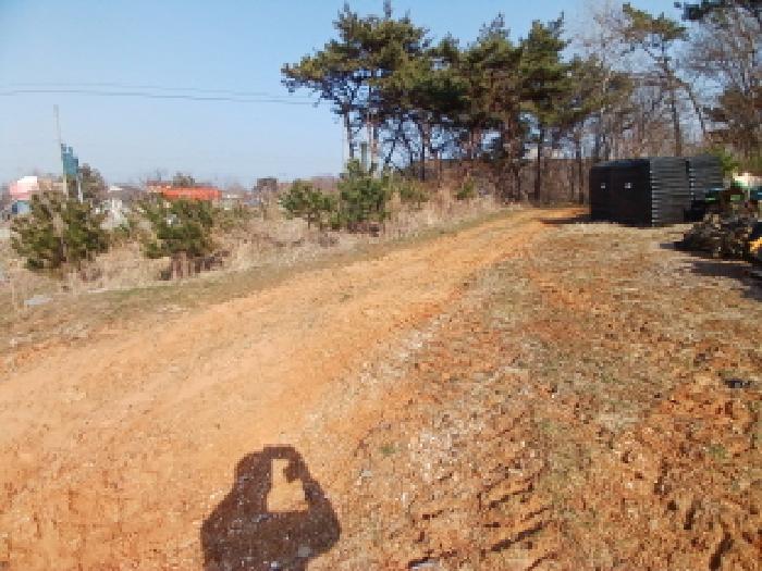 충남 당진시 석문면 임야 경매 물건 사진 3 · 2025타경51128