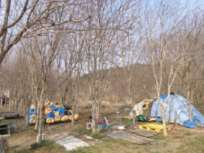 충남 태안군 안면읍 전답 경매 물건 사진 4 · 2025타경51146