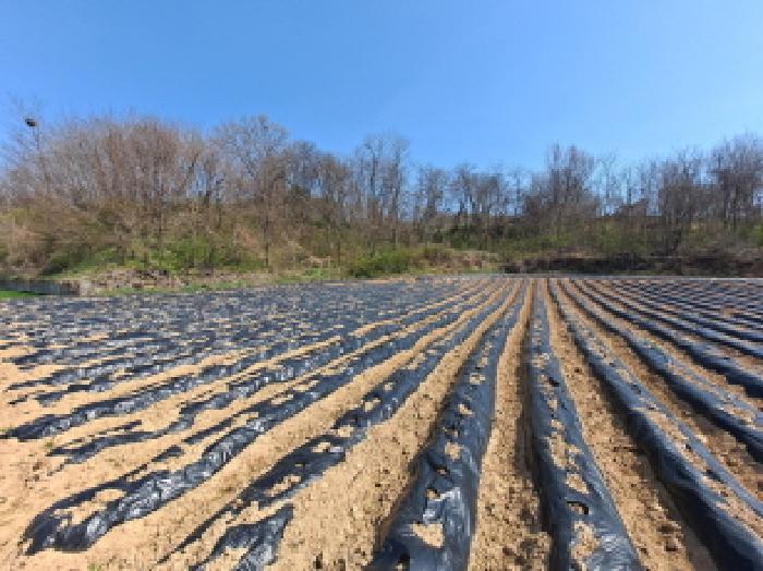 충남 당진시 합덕읍 대지,임야,전답 경매 물건 사진 4 · 2025타경51147