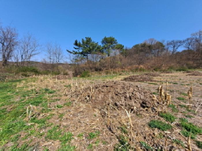 충남 당진시 합덕읍 대지,임야,전답 경매 물건 사진 5 · 2025타경51147