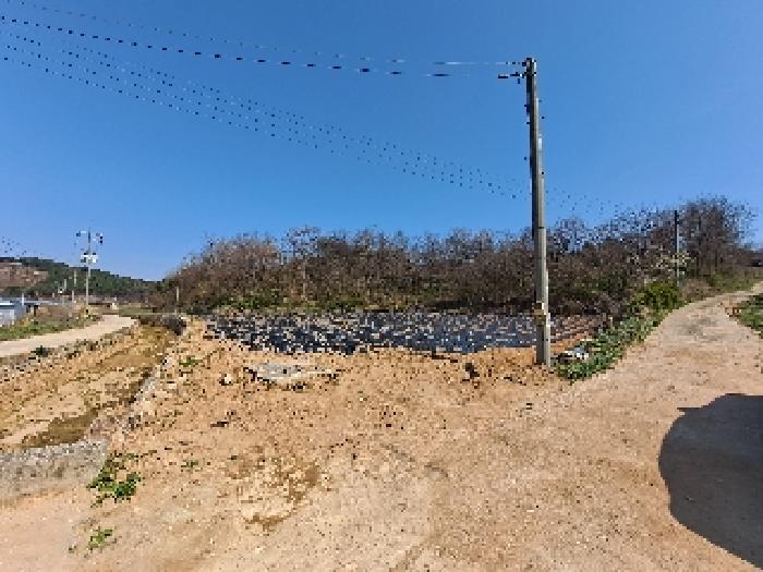 충남 당진시 합덕읍 대지,임야,전답 경매 물건 사진 6 · 2025타경51147