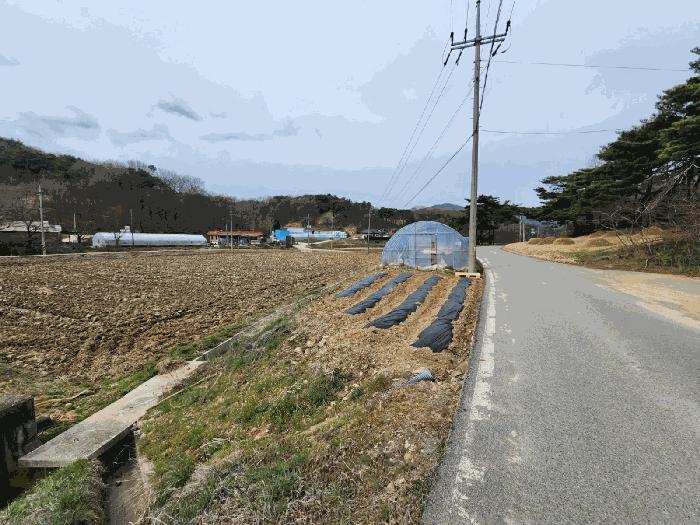 충남 서산시 운산면 전 경매 물건 사진