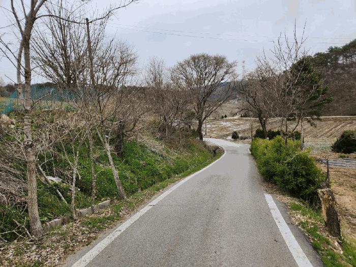 충남 서산시 운산면 전 경매 물건 사진 6 · 2025타경51149