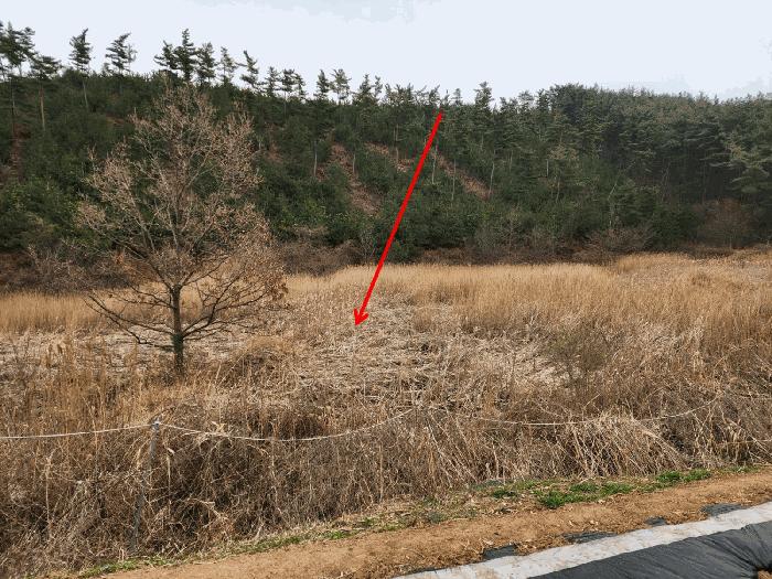 충남 태안군 원북면 답 경매 물건 사진 4 · 2025타경51155