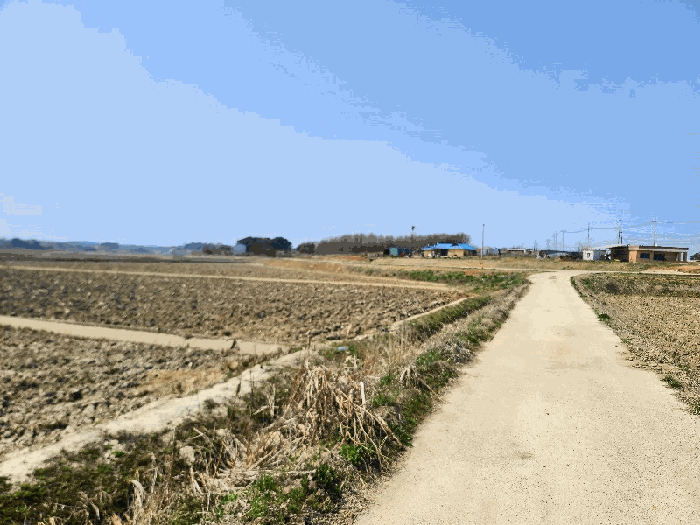 충남 당진시 송악읍 답 경매 물건 사진 6 · 2025타경51156