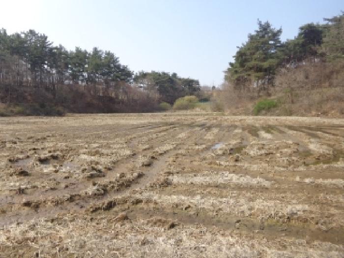 충남 태안군 태안읍 답 경매 물건 사진 2 · 2025타경51185