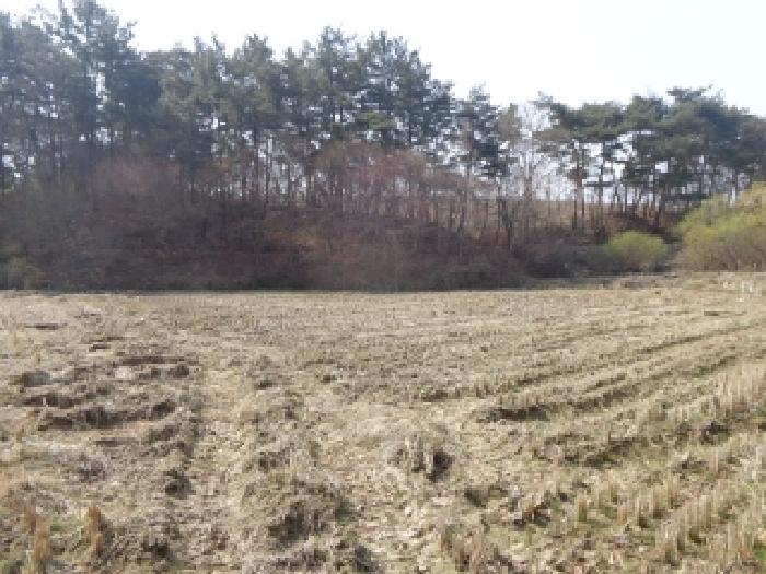 충남 태안군 태안읍 답 경매 물건 사진 3 · 2025타경51185