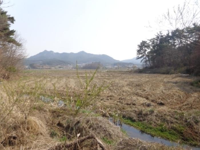 충남 태안군 태안읍 답 경매 물건 사진 4 · 2025타경51185