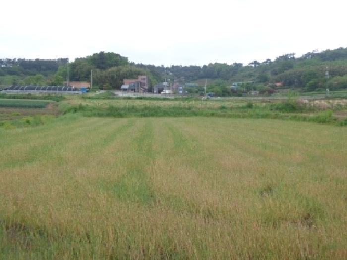 충남 서산시 인지면 전답 경매 물건 사진