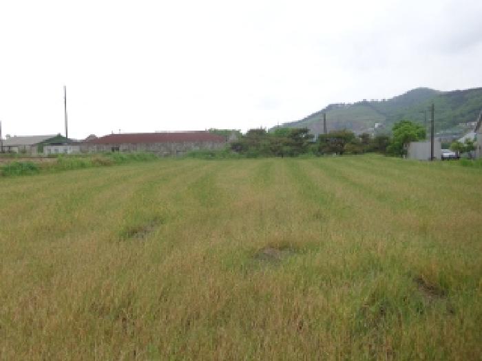 충남 서산시 인지면 전답 경매 물건 사진 2 · 2025타경51238