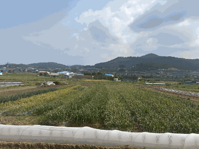 충남 서산시 인지면 전답 경매 물건 사진 3 · 2025타경51238