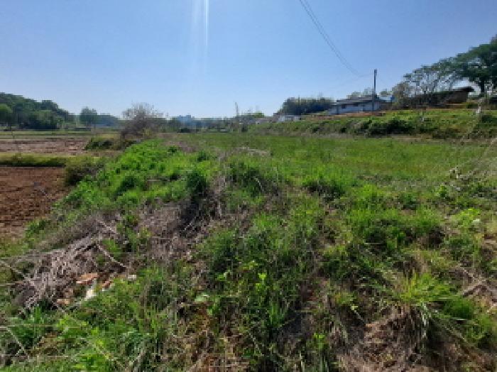 충남 당진시 송악읍 답 경매 물건 사진 3 · 2025타경51241