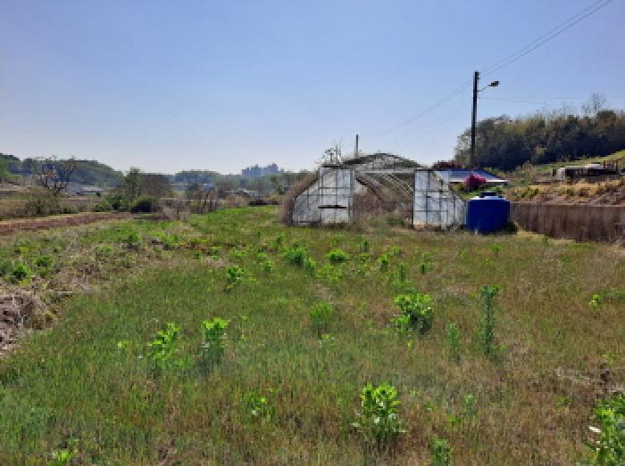 충남 당진시 송악읍 답 경매 물건 사진 4 · 2025타경51241