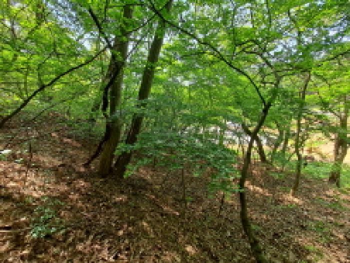 충남 당진시 채운동 전 경매 물건 사진 6 · 2025타경51243