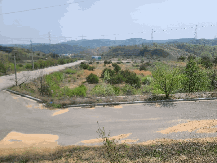 충남 서산시 운산면 임야 경매 물건 사진 5 · 2025타경51252