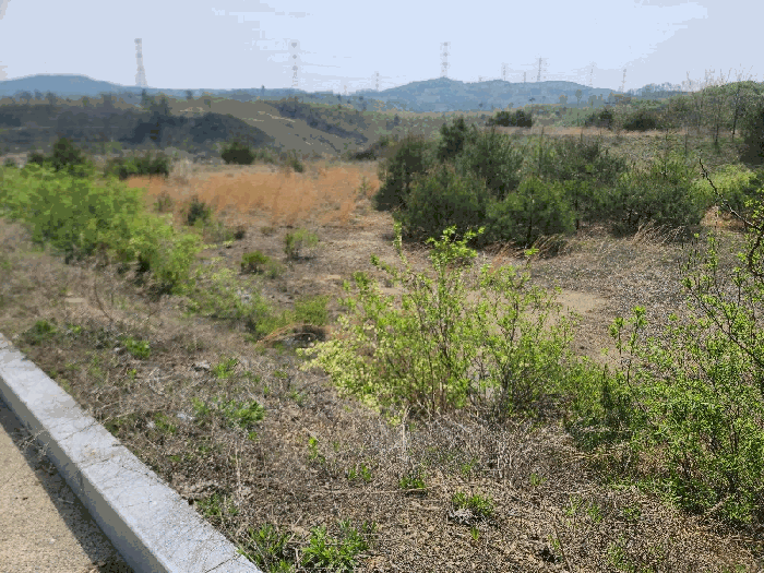 충남 서산시 운산면 임야 경매 물건 사진 6 · 2025타경51252