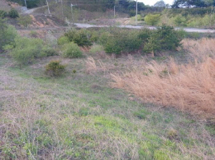 충남 서산시 운산면 임야 경매 물건 사진 2 · 2025타경51252