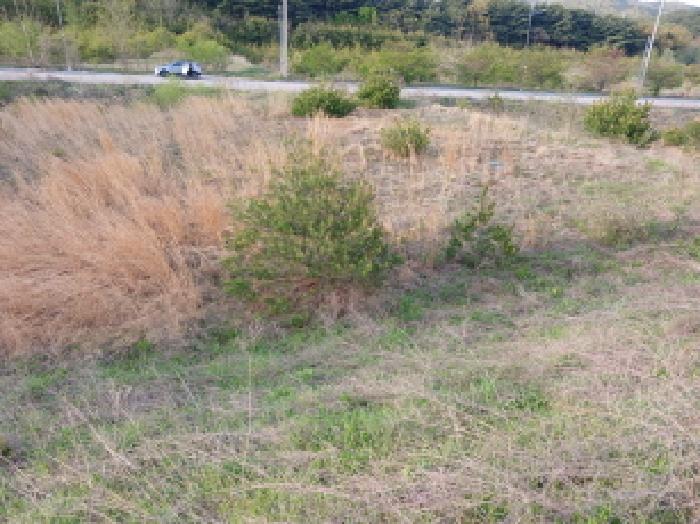 충남 서산시 운산면 임야 경매 물건 사진 3 · 2025타경51252