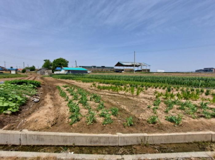 충남 당진시 우강면 답 경매 물건 사진 3 · 2025타경51256
