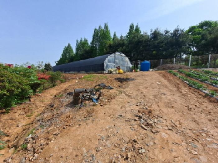 충남 당진시 송악읍 전답 경매 물건 사진 2 · 2025타경51259