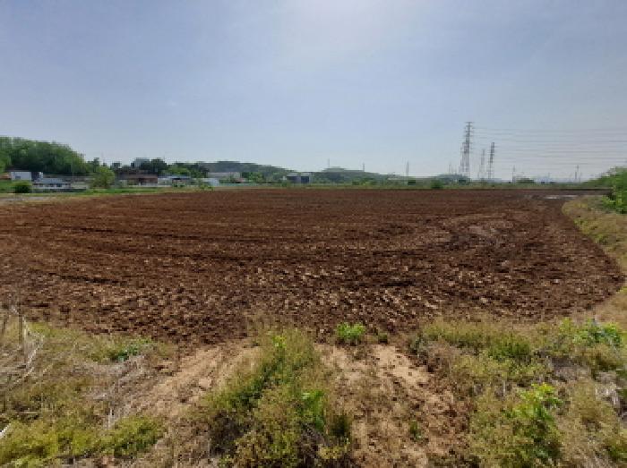 충남 당진시 송악읍 답 경매 물건 사진 3 · 2025타경51267
