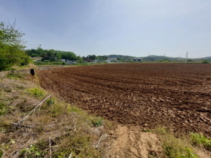 충남 당진시 송악읍 답 경매 물건 사진 5 · 2025타경51267