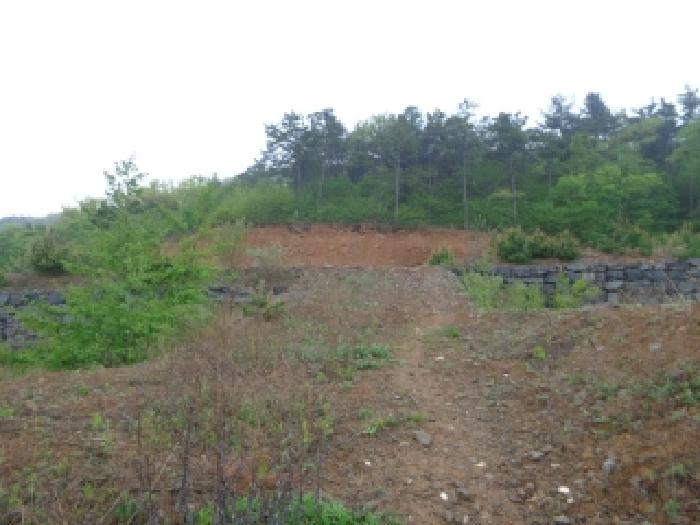 충남 서산시 인지면 도로 경매 물건 사진