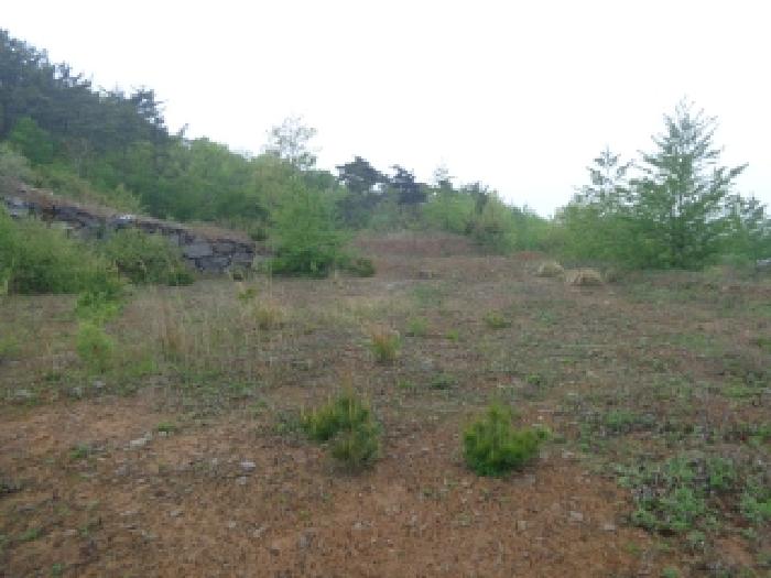 충남 서산시 인지면 도로 경매 물건 사진 6 · 2025타경51287
