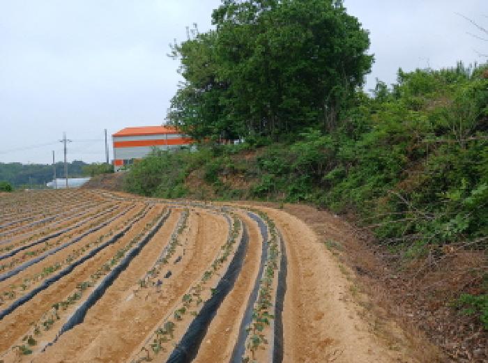 충남 당진시 석문면 임야 경매 물건 사진 2 · 2025타경51301