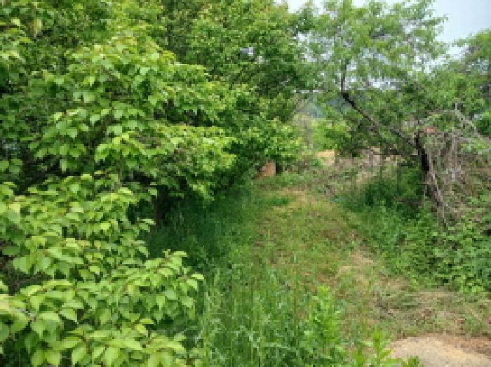 충남 당진시 석문면 임야 경매 물건 사진 4 · 2025타경51301