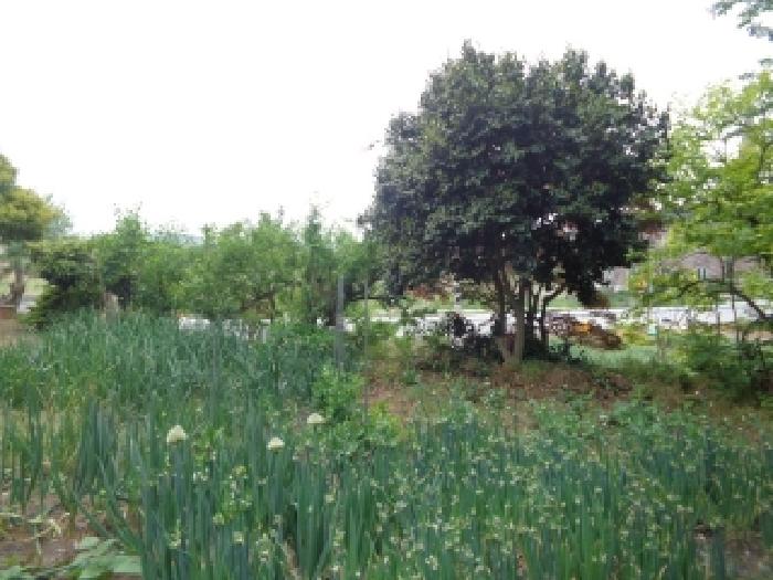 충남 서산시 부석면 대지,임야,전답 경매 물건 사진 2 · 2025타경51302