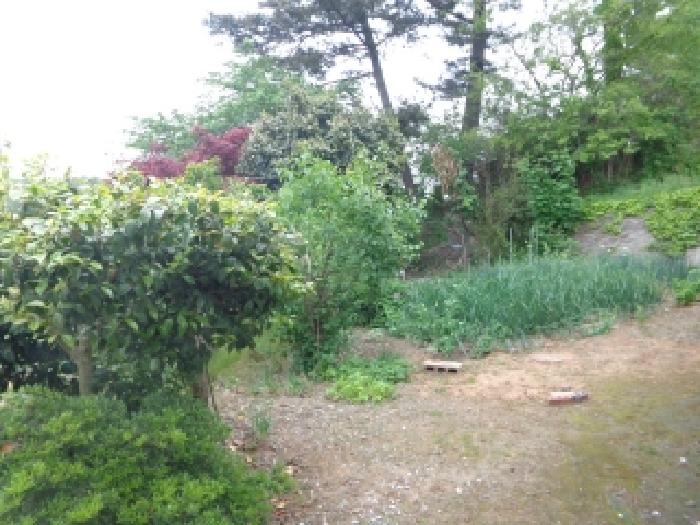 충남 서산시 부석면 대지,임야,전답 경매 물건 사진 3 · 2025타경51302