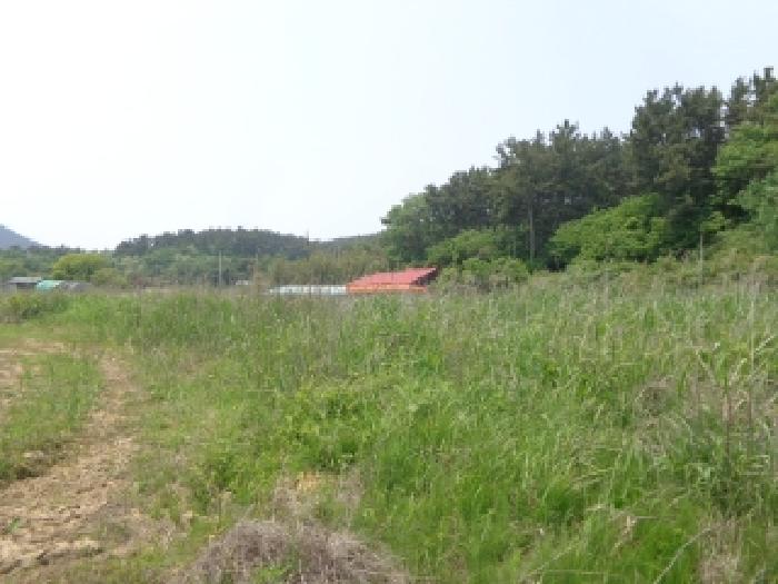 충남 태안군 근흥면 전답 경매 물건 사진 3 · 2025타경51317