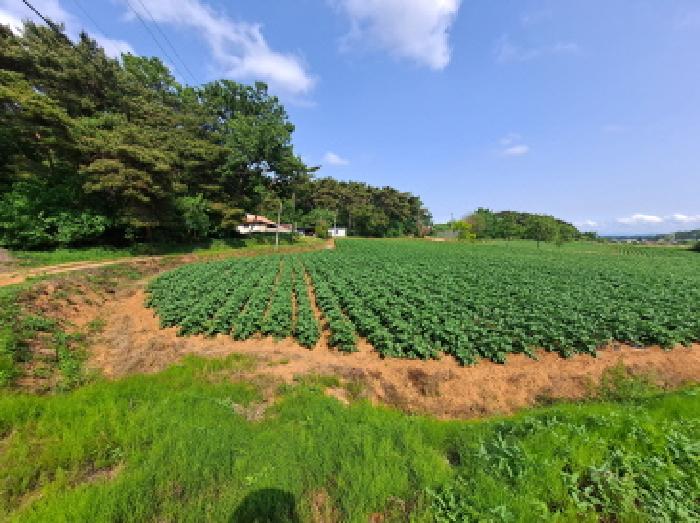 충남 당진시 송악읍 전 경매 물건 사진 2 · 2025타경51330