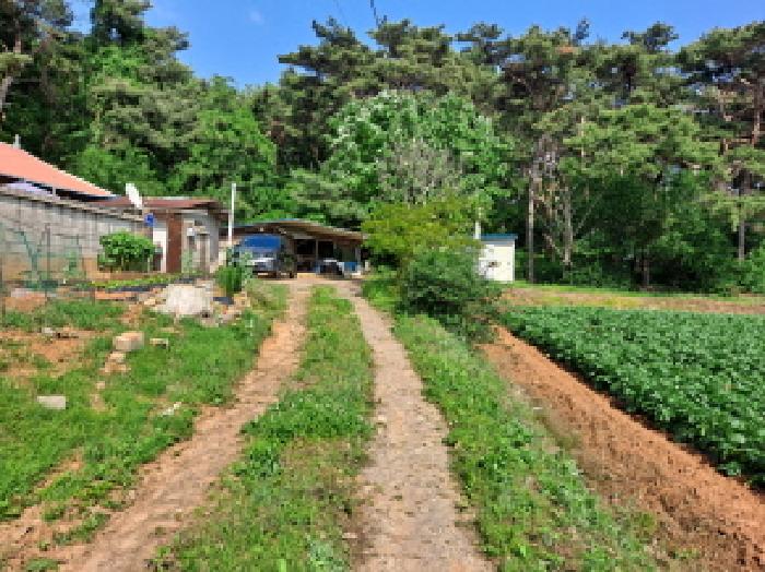 충남 당진시 송악읍 전 경매 물건 사진 5 · 2025타경51330